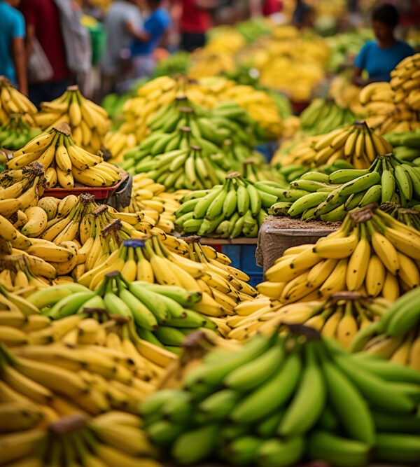 1. marketplace
